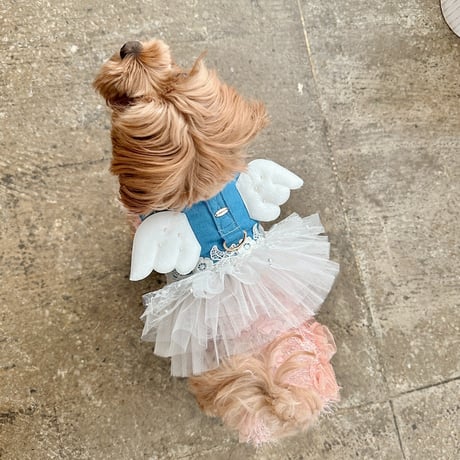 【予約商品】Dress denim Angel harness
