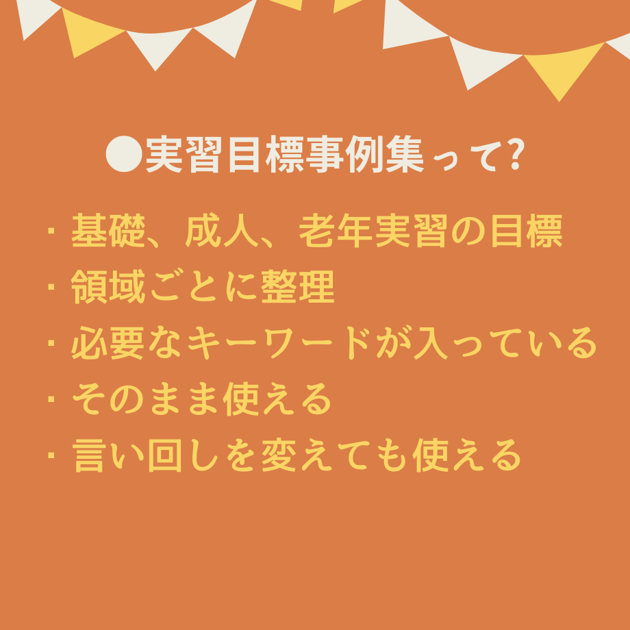 超絶安心！看護実習【まるごと】パック | 眠れる看護実習☆SHOP