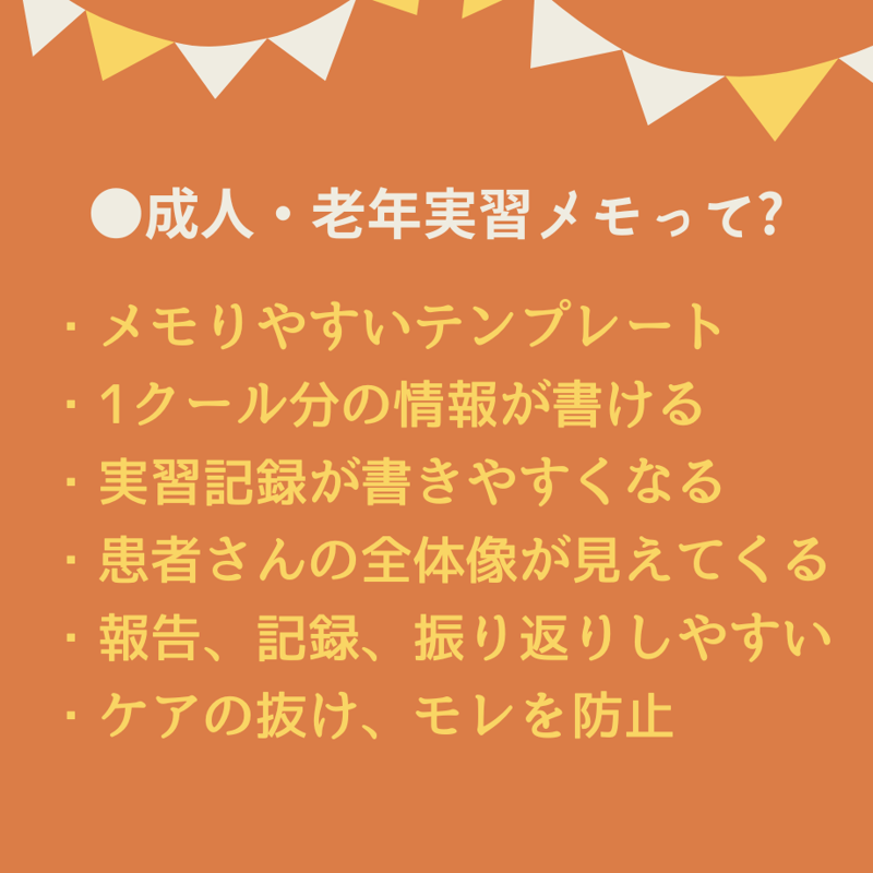 統合 実習メモ 看護 超絶安心！看護実習【まるごと】パック | 眠れる看護実習☆SHOP