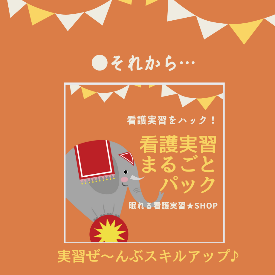 すらすら♪看護【実習記録】パック | 眠れる看護実習☆SHOP