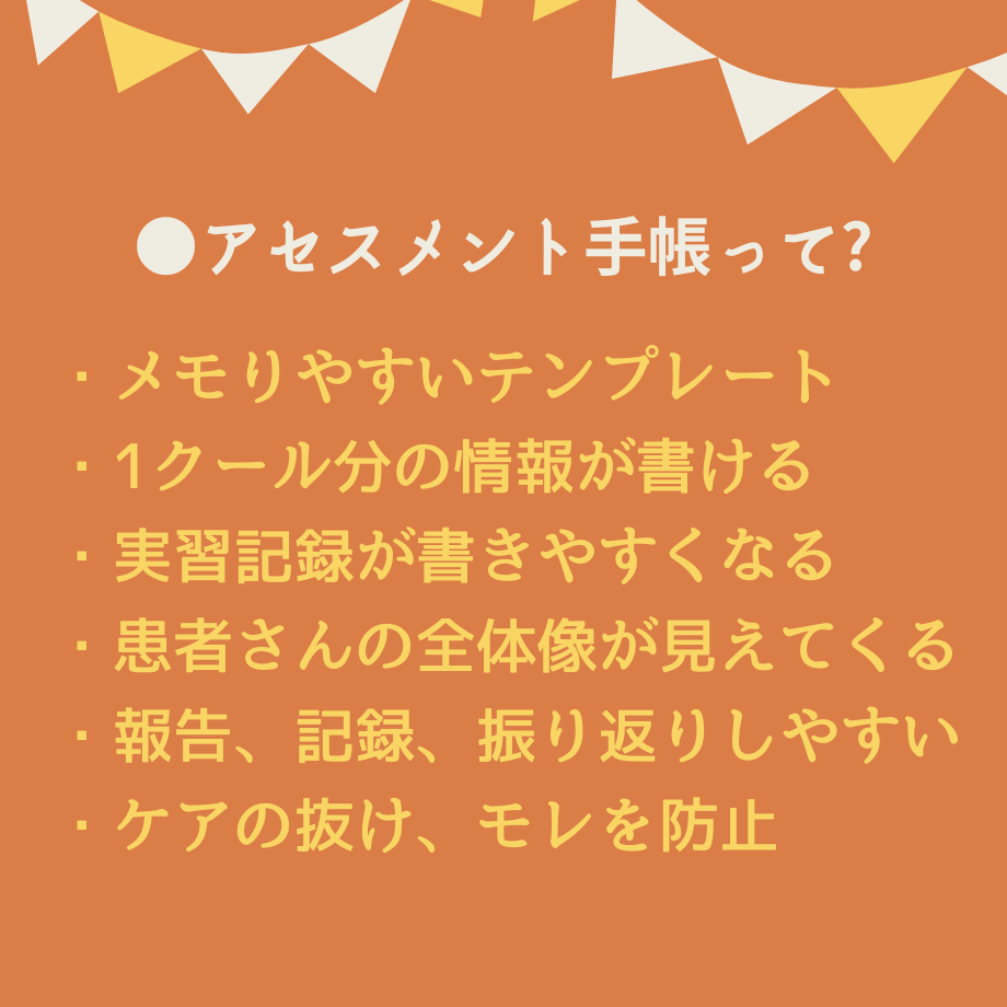 【アセスメントも！個別性も！】看護実習まるごとセット★実習メモ★計画★目標など 超絶安心！看護実習【まるごと】パック | 眠れる看護実習☆SHOP