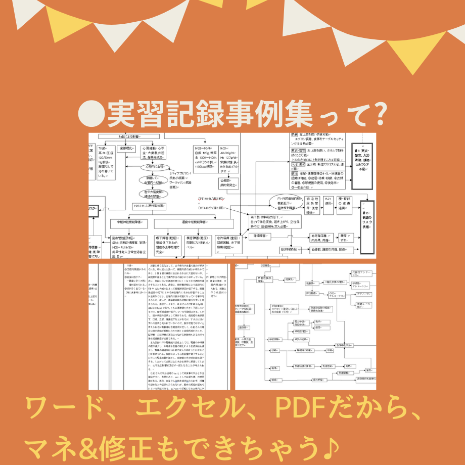 すらすら♪看護【実習記録】パック | 眠れる看護実習☆SHOP