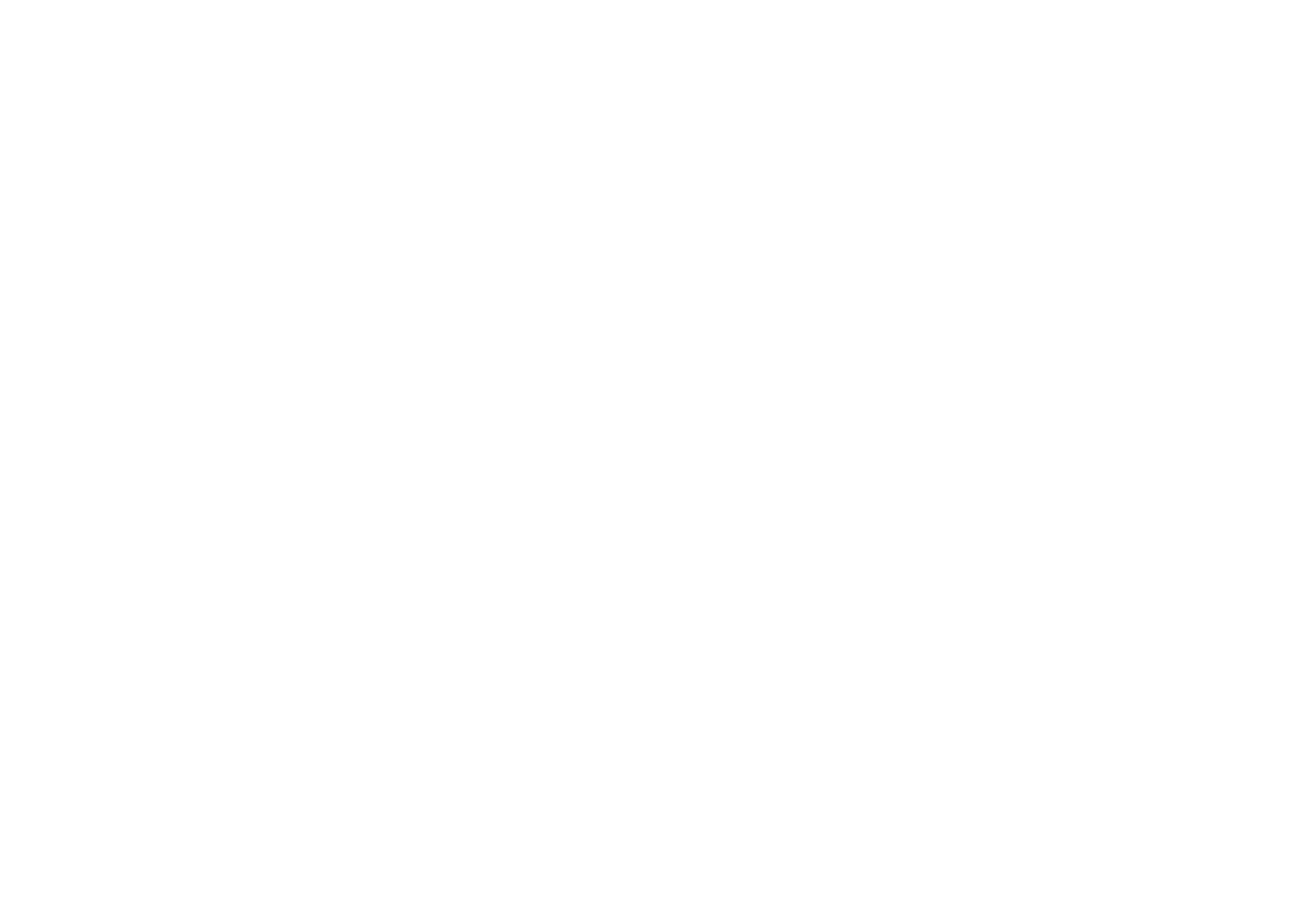 TASHIKA 