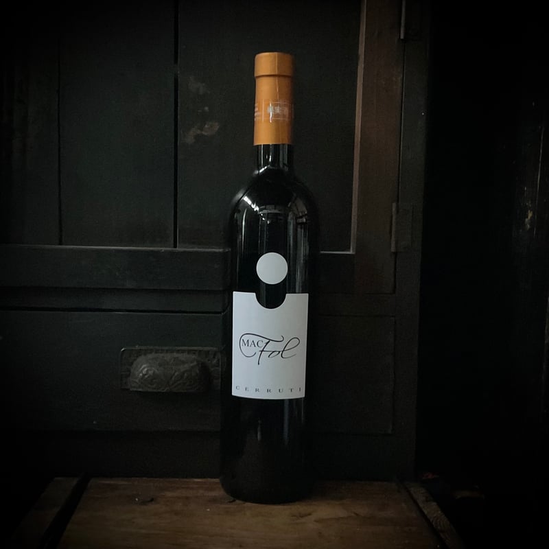 Ezio Cerruti / Mac Fol 2021(L.21/23) (エツィオ チェッル