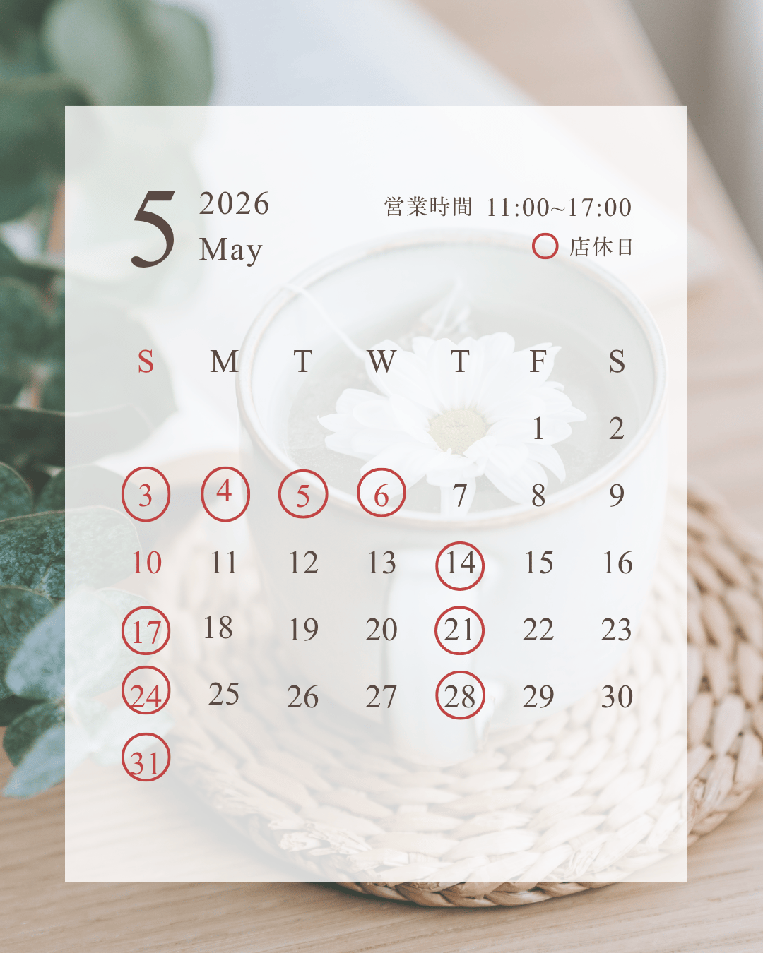 5月の予定