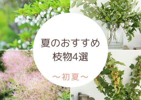 枝物定期便