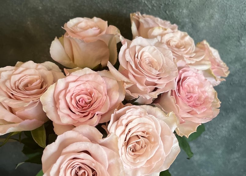 バラ「クリスタルドレス」10本入り | tige-fleuriste