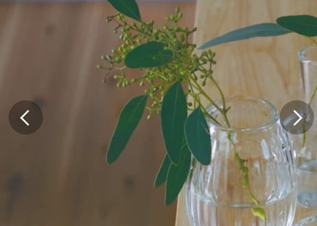 SALE | tige-fleuriste