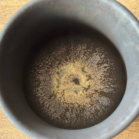 杉山悠　マグカップ シャープ 24G