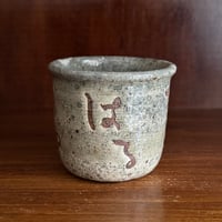 田部井勇太　カップ 33B