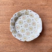 皐月窯　5寸輪花リム皿 赤砥化粧花 さ5D（直径約15.5cm)