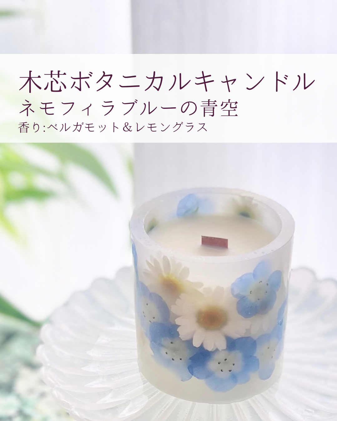 ボタニカルキャンドル クリスマスキャンドル 木芯キャンドル 【公式通販】