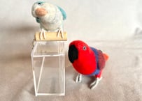 オオハナインコ中型サイズ&ぶら下がりオキナインコ