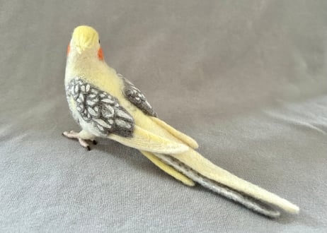 約1／2サイズオカメインコ