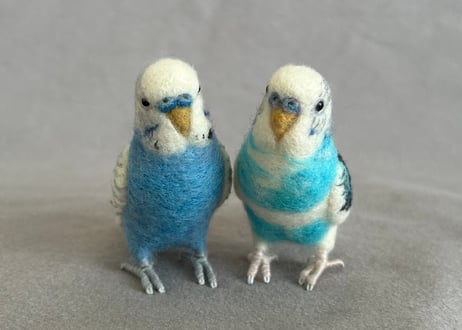 約1/2サイズセキセイインコ✖️2
