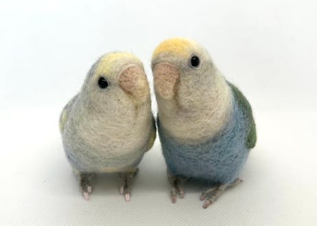 お客様専用約1/2サイズコザクラインコ×2