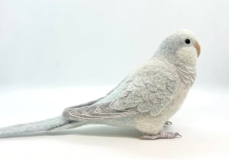 お客様専用 約1/2サイズ&ピーナッツオキナインコ