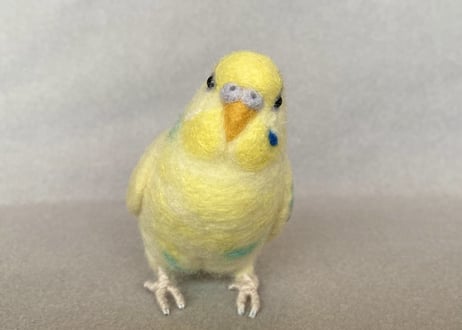 お客様専用約1/2サイズセキセイインコ