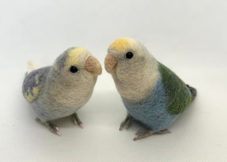 お客様専用約1/2サイズコザクラインコ×2