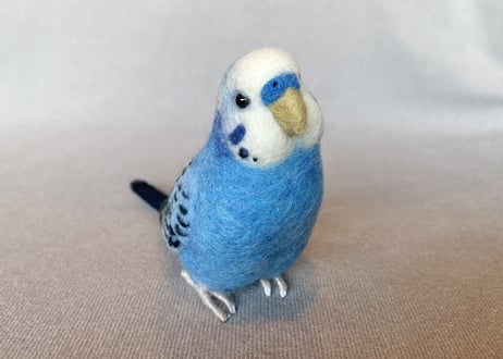 お客様専用約1／2サイズセキセイインコ