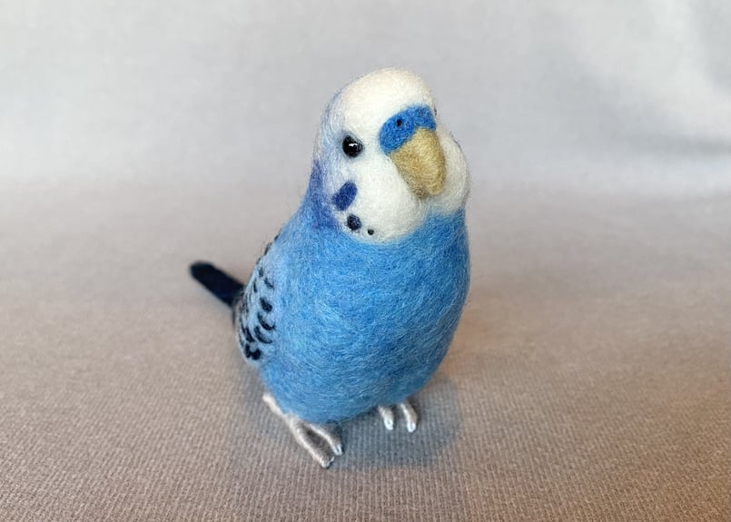 お客様専用約1／2サイズセキセイインコ | TinyBooBoo