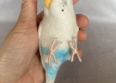 お客様専用約1/2サイズ&ピーナッツセキセイインコ