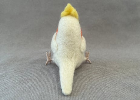 オカメルチノー、セキセイルチノー4点
