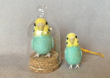 お客様専用セキセイインコガラスドーム＆ピーナッツ