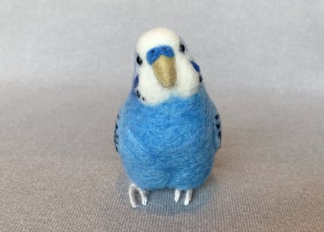 お客様専用約1／2サイズセキセイインコ