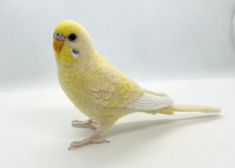 お客様専用セキセイインコリアルサイズ&おすわり
