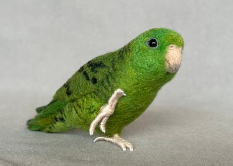 約1/2サイズサザナミインコ