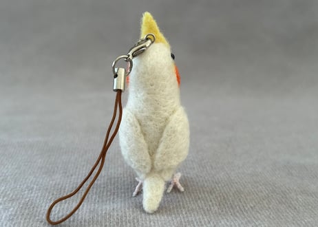オカメルチノー、セキセイルチノー4点
