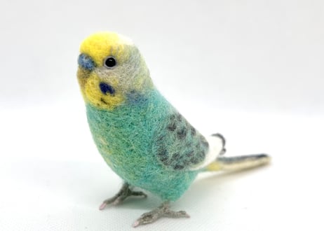 お客様専用約1/2サイズセキセイインコ