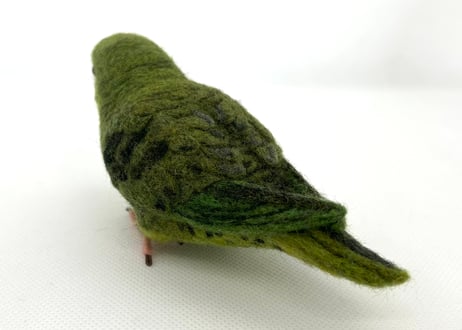 お客様専用約1/2サイズサザナミインコ