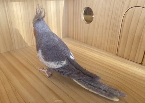 お客様専用約1/2サイズ＆ピーナッツオカメインコ