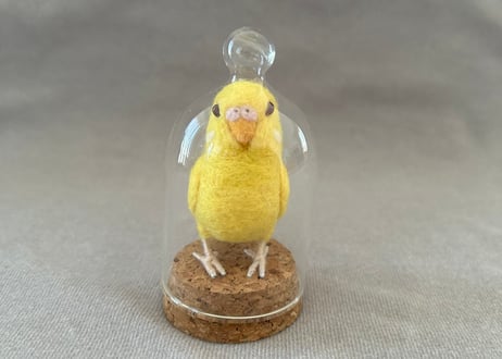 オカメルチノー、セキセイルチノー4点