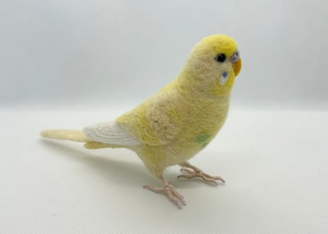お客様専用セキセイインコリアルサイズ&おすわり