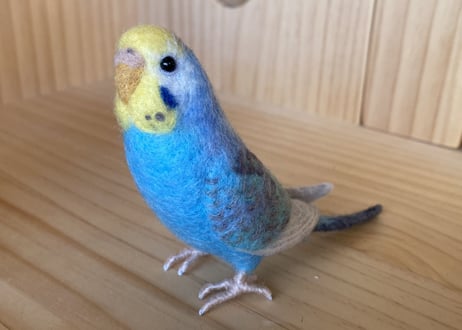 お客様専用約1/2サイズ&ピーナッツセキセイインコ