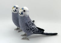 お客様専用約1/2サイズセキセイインコ