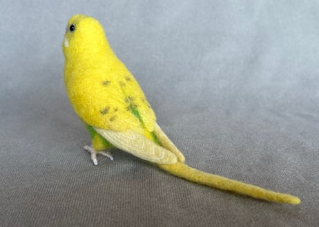 リアルサイズセキセイインコ