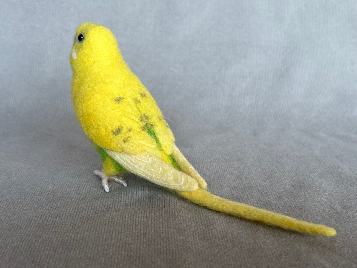 リアルサイズセキセイインコ | TinyBooBoo