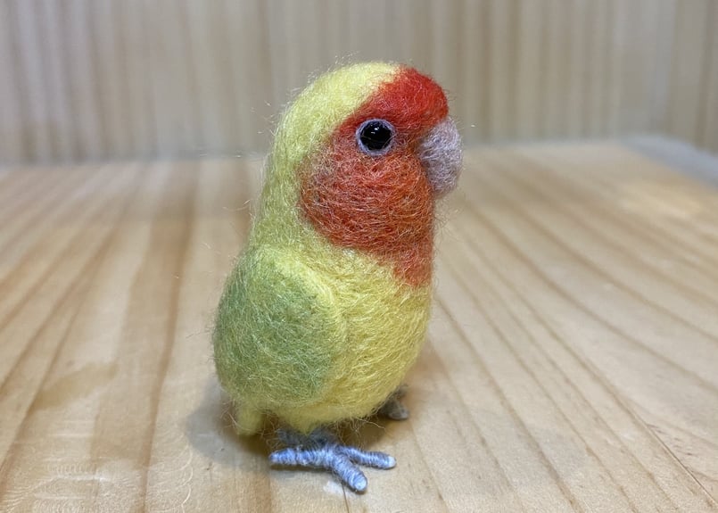 お客様専用ガラスドームコザクラ&ボタンインコちゃん | TinyBooBoo