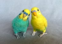 リアルサイズセキセイインコ