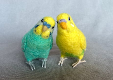 リアルサイズセキセイインコ