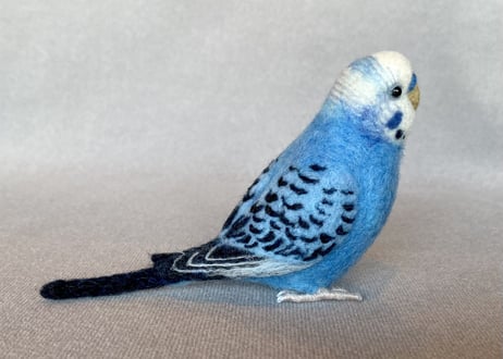 お客様専用約1／2サイズセキセイインコ