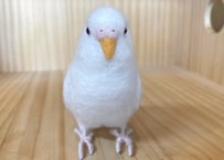 お客様専用セキセイインコ