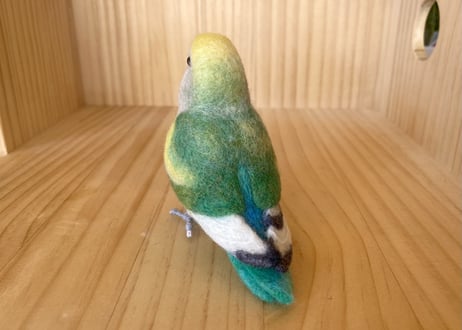 お客様専用約1/2サイズコザクラインコ