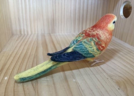 お客様専用約1/2サイズビセイインコ