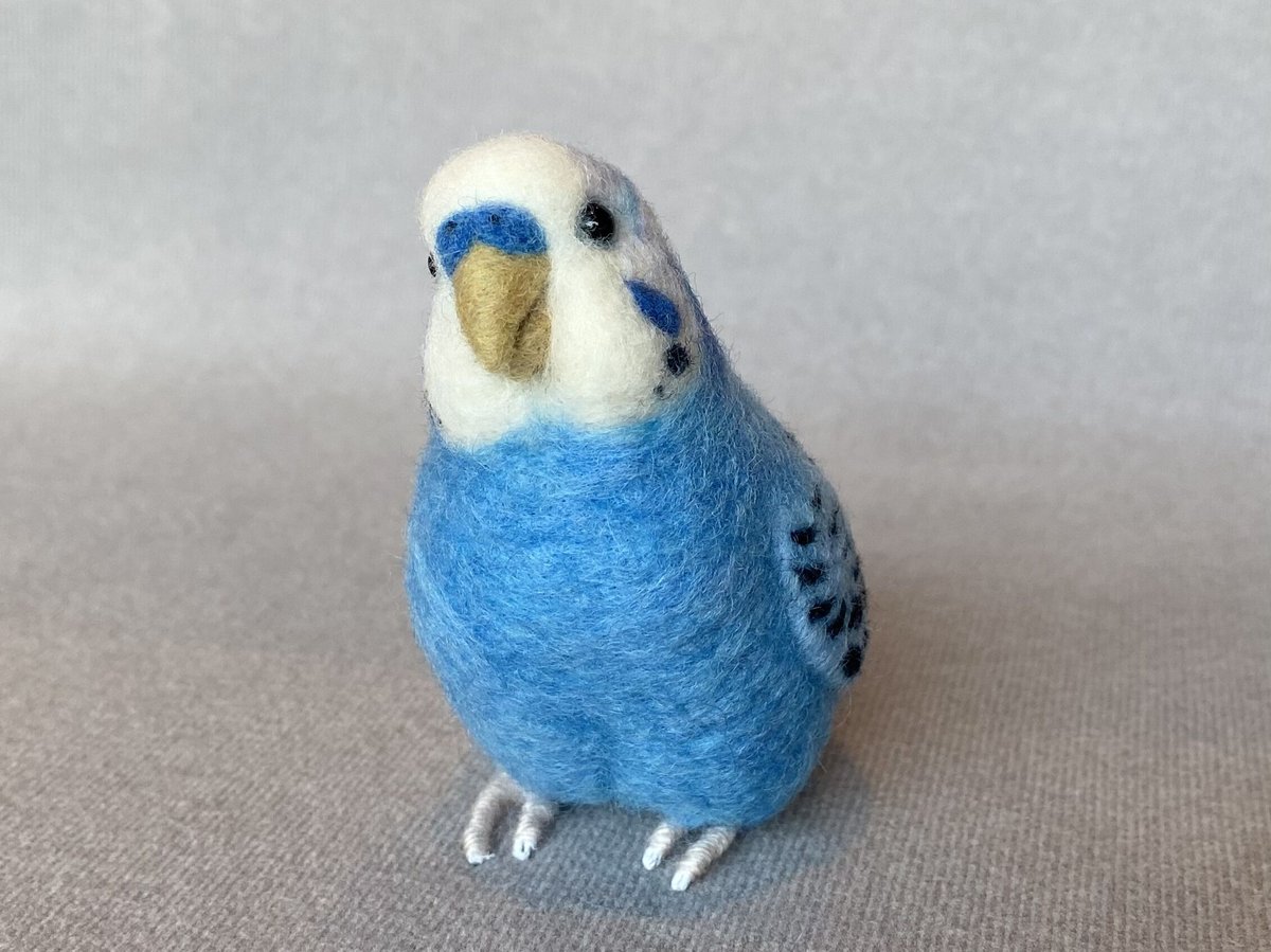 お客様専用約1/2サイズセキセイインコ | TinyBooBoo お客様専用約1/2サイズセキセイインコ | TinyBooBoo