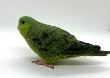 お客様専用約1/2サイズとおすわりサザナミインコ